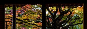 雷山千如寺大悲王院
