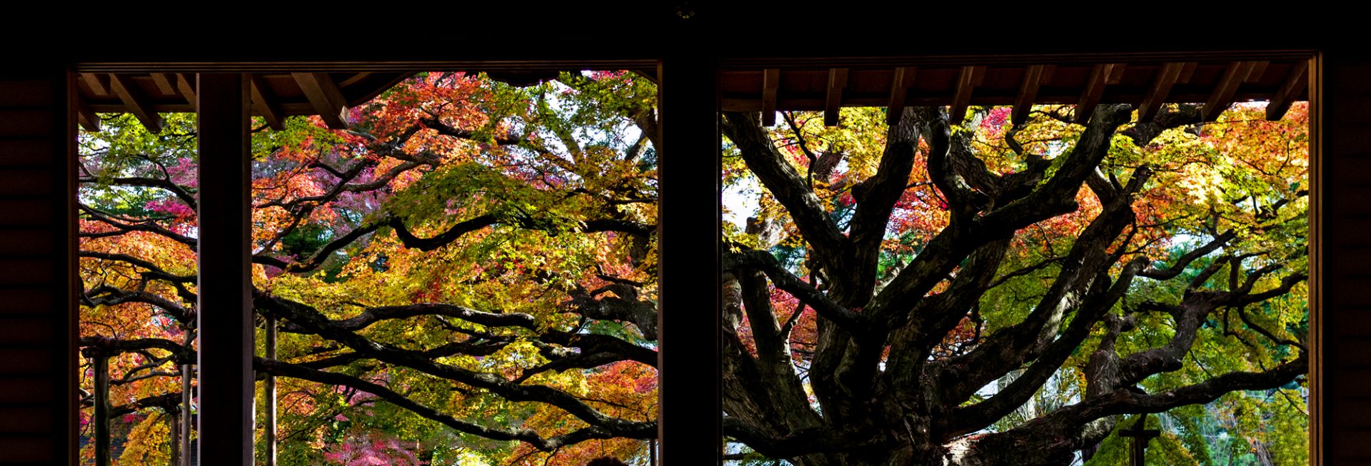 雷山千如寺大悲王院